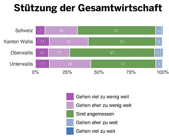 Wie beurteilen Sie die Massnahmen zur Stützung der Gesamtwirtschaft?