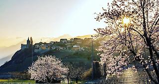 &lt;b&gt;Vorbereitung vor Ende des Lockdowns.&lt;/b&gt; Die Varner Gemeindebeh&ouml;rde spricht sich f&uuml;r Sofortmassnahmen zur Unterst&uuml;tzung des lokalen Gewerbes aus.