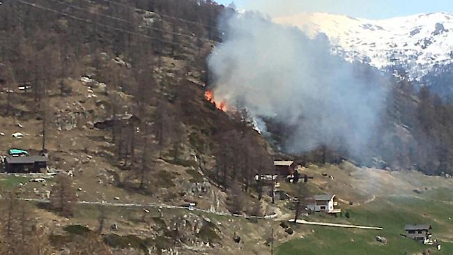 Oberhalb von Törbel ist am frühen Nachmittag ein lichtes Waldstück in Brand geraten. Gegen 15 Uhr hatte die Feuerwehr von Törbel mithilfe eines Helikopters der Air Zermatt den Flächenbrand unter Kontrolle.
