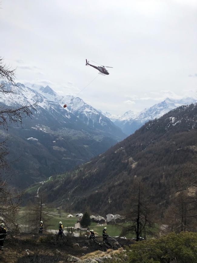 Oberhalb von Törbel ist am frühen Nachmittag ein lichtes Waldstück in Brand geraten. Gegen 15 Uhr hatte die Feuerwehr von Törbel mithilfe eines Helikopters der Air Zermatt den Flächenbrand unter Kontrolle.