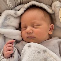 Ilaria Lou Scribante